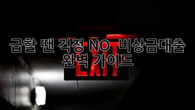 급할 땐 걱정 NO! 🛡️ 비상금대출 완벽 가이드