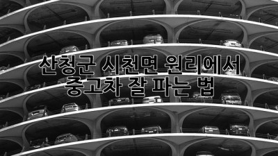 산청군 시천면 원리에서 중고차 잘 파는 법