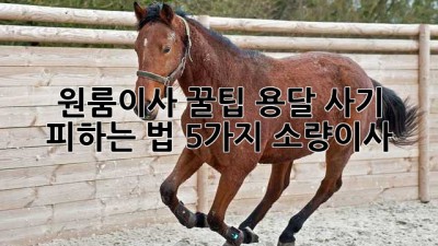 원룸이사 꿀팁🍯 용달 사기 피하는 법 5가지🚨 #소량이사