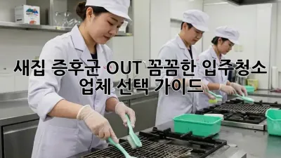 새집 증후군 OUT! 꼼꼼한 입주청소 업체 선택 가이드