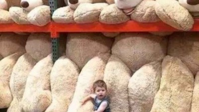 코스트코 곰인형🐻득템 후기! 놓치면 후회각?🤫